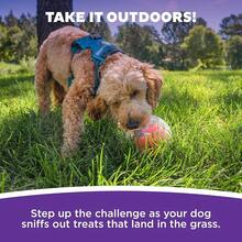 EWAJFBVOutward Hound Wobble Bowl Dog Game -Interactive Slow Feeder Bowl Dog Game - Dog Rumble (Màu cam) - Xem 5