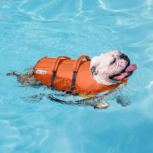 Outward Hound Granby Splash Dog Life, High-Buoyancy Dog Life Vest Swimming, Boating, And Safety, Medium, Orange - 迷彩 - 查看 6