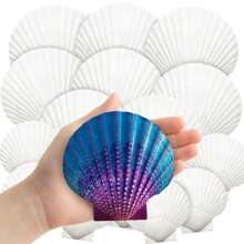 Conchas de vieira naturais grandes de 6 a 8 cm, conchas brancas do mar para decoração, conchas reais para artesanato, pintura, festa temática do oceano, casamento, 1/5/10 peças