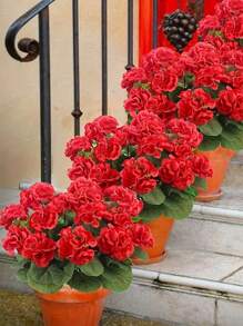 4/2pcs Artificial Shrubs Geraniums Realistic UV Protected Red Pink Begonia Flowers With Green Foliage For Indoor & Outdoor Decor, Perfect For Garden, Porch, Patio, Window Box, And Hanging Planter, Garden Decor , Christmas, Halloween, Thanksgiving, Valentine's,Maintenancefree Plants, Artificial Outdoor Flowers Shrubs