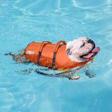 Outward Hound Granby Splash Dog Life Jacket, High-Buoyancy Dog Life Vest For Swimming, Boating, And Water Safety, Large, Orange