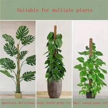 1 pieza/2 piezas Postes de musgo flexibles para plantas, plantas Monstera, soporte para plantas trepadoras, plantas de interior, plantas en maceta, estantes de soporte - marrón - Ver 6