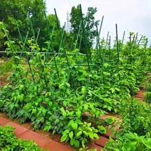1 Set Of 40 Durable Metal Climbing Plant Garden Stakes -3-In-1 Combination To Form A 70.8-Inch High And 70.8-Inch Long Vine Support Pole Suitable For Tomatoes, Grapes, Cucumbers, And Pomegranates - Essential For Greenhouse And Outdoor Gardening
