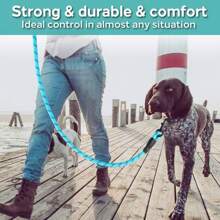 1pc Glow In The Dark Heavy Duty Nylon Dog Leash, Suitable For Medium Dogs