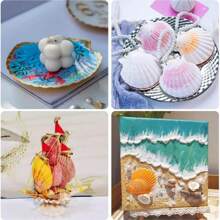 Conchas de vieira naturais grandes de 6 a 8 cm, conchas brancas do mar para decoração, conchas reais para artesanato, pintura, festa temática do oceano, casamento, 1/5/10 peças