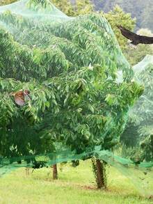 Nylon Anti-Bird Net Mesh For Garden, Vegetable Plot, Orchard, Fish Pond, Greenhouse, Used For Bird Protection - Multicolor - View 1