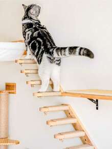 1pc Wall-Mounted Cat Climbing Ladder, 4-Tier Solid Wood Cat Furniture, Sturdy & Durable Pine Wood, For Playing, Climbing & Scratching, Comes With Tools For Easy Assembly, Max Load 12kg (26lb)