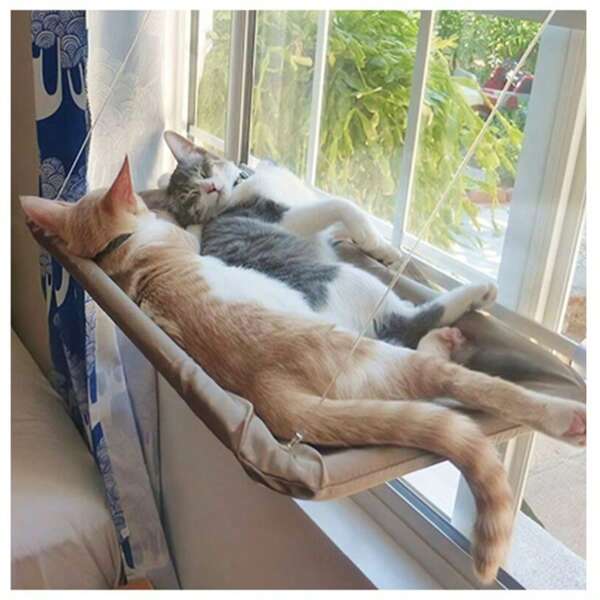 Percha de ventana cómoda para gatos - Cama de hamaca cómoda para gatos, se monta fácilmente en las ventanas, proporciona un lugar relajante para tu amigo felino, aplicable hasta 15 kg.