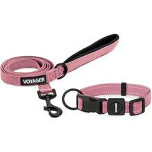 Juego de collar y correa (rosa)