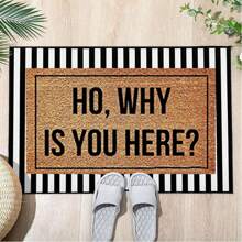 Door Mat Ho, Why Is You Here Welcome Non-Slip Mats Funny Doormat Decor For Bathroom Kitchen Front Porch Rugs Home Decor Entrance 24" X 16"