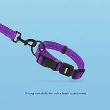 Pet Basic Dog Collars - Leash Collar Set (Purple) - View 5