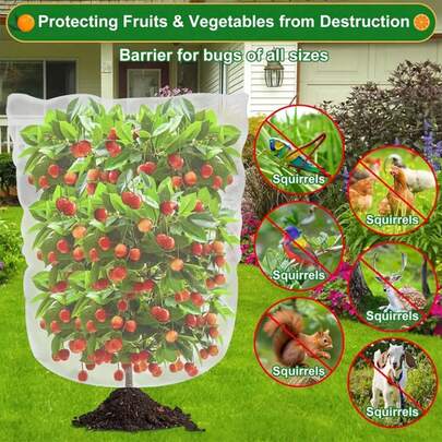 1 Lưới lưới vườn có dây rút - Vỏ bảo vệ côn trùng và chim cho cây trồng, trái cây và cây cối. Vỏ lưới bảo vệ cây ăn quả việt quất trong vườn có dây rút. Túi lưới chắn cây trồng trong vườn cho cây ăn quả rau.