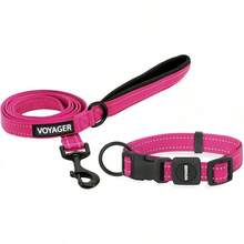 Conjunto de collar y correa (fucsia)