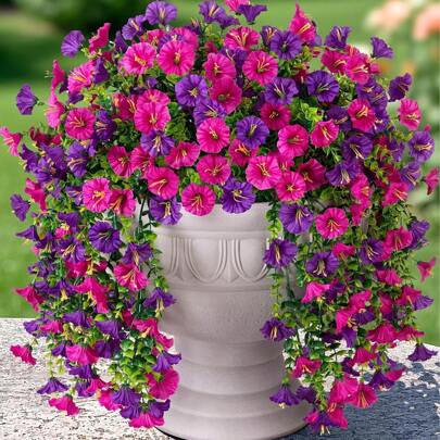 3 peças Cestas de Flores Artificiais Pendentes Roxas e Bordô, Flores de Glória Roxas e Bordô Resistentes a UV de Seda com Folhagens de Eucalipto, Adequadas para Decoração de Jardim Externo, Decoração Interna e Externa, Decoração de Vasos, Plantas Falsas, Decoração para Todas as Estações, Decoração de Quarto, Decoração Floral Doméstica