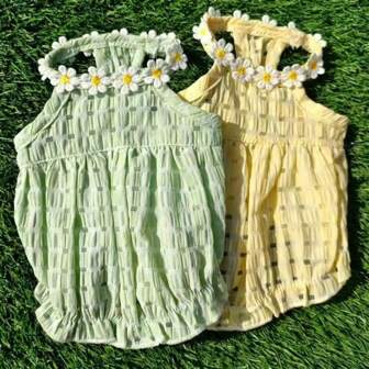 1件宠物狗裙子宠物猫衣服春夏秋季新款可爱雏菊裙小型犬泰迪裙子比熊裙雪纳瑞服装