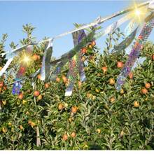 Bird Repellent Ribbons For Orchards And Farmlands, Bird-Proof Reflective Flashing Bird-Scare Bird-Repellent Artifact, Bird-Repelling Ribbons