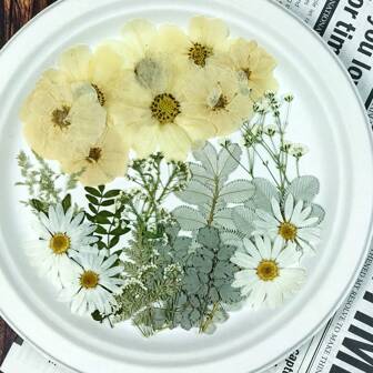 1pack/34sheets Natural Dried Pressed Flowers For Resin Molds, Dried Leaves Dry Flowers Kits For Epoxy Resin Supplies,Scrapbook,Nails, Jewelry Molds,Candle Making,Soap,Photo Frame,Handbag DIY