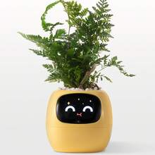 智能花盆，智能宠物花盆，AI 花盆，7 个智能传感器和 AI 芯片让植物生长变得轻松有趣，适合客厅，不含植物 - 智慧花盆 - 查看 4