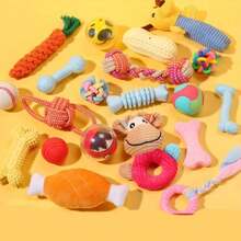 10件套耐咬狗狗磨牙玩具套装，毛绒+绳子+TPR+硅胶材质，小型犬牙齿清洁磨牙玩具，非电动，适合幼犬玩耍和增进感情