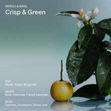 Body Lotion For Women & Men | Hydrates, Nourishes & Softens Skin | Restores Dry Skin | Fast-Absorbing | Cruelty-Free & Vegan (100 Ml) (Bergamot & Hinoki) - Neroli & Basil 3.4 fl oz - 查看 6