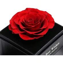 1 set Collier - Boîte cadeau rose de luxe, parfaite pour la Saint-Valentin, la fête des mères, les anniversaires et toute occasion spéciale
