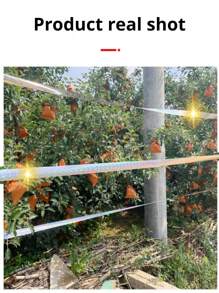 Bird Repellent Ribbons For Orchards And Farmlands, Bird-Proof Reflective Flashing Bird-Scare Bird-Repellent Artifact, Bird-Repelling Ribbons