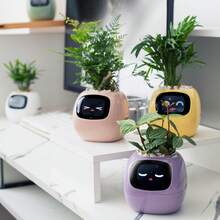 智能花盆，智能宠物花盆，AI 花盆，7 个智能传感器和 AI 芯片让植物生长变得轻松有趣，适合客厅，不含植物 - 智慧花盆 - 查看 11
