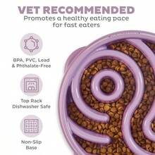 Cuenco Slo Fun Feeder de gran tamaño con diseño de yin yang en color morado