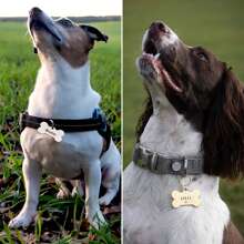 1 Pc Stainless Steel Bone Dog Tag With Dog Paws Hollowed, Laser Engraved Name Dog Tag For Dogs, Custom Dog Collar Tag, Pet Gifts Ornamental,Engraved,Stainless Stylish,Fashion,Colorful,Vintage,Cute,Contracted,Cuties Custom,Unique,Customized,Personalized Pet For Anniversaries,For Birthdays