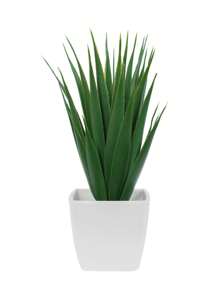 1/3 Stücke 3-5 Zoll (H) Mini Sukkulenten Topfpflanzen für Zuhause, Schlafzimmer, Wohnzimmer, Hochzeit, Geburtstag, Abschluss, Party und Tischdekoration