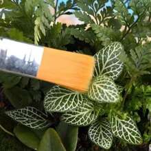 Multi-Purpose Nylon Bristle Brush, Paint Brush, Painting Brush, Wooden Handle Bristle Brush, Art Painting Brush, Oil Painting Brush, Nylon Brush
