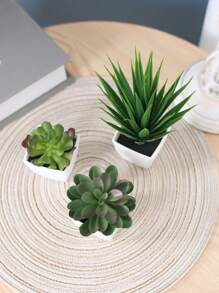 1/3 Stücke 3-5 Zoll (H) Mini Sukkulenten Topfpflanzen für Zuhause, Schlafzimmer, Wohnzimmer, Hochzeit, Geburtstag, Abschluss, Party und Tischdekoration