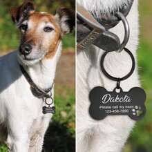 1 Pc Stainless Steel Bone Dog Tag With Dog Paws Hollowed, Laser Engraved Name Dog Tag For Dogs, Custom Dog Collar Tag, Pet Gifts Ornamental,Engraved,Stainless Stylish,Fashion,Colorful,Vintage,Cute,Contracted,Cuties Custom,Unique,Customized,Personalized Pet For Anniversaries,For Birthdays