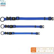 Mejores Suministros para Mascotas Correa o Collar Reflectante para Perros Voyager con de Neopreno, para Cachorros de Razas Pequeñas, Medianas y Grandes, Lindo y Resistente para Caminar, Correr y Entrenar - Turquesa, S - Collar (Azul Real) - Ver 4