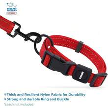 Mejores Suministros para Mascotas Correa o Collar Reflectante para Perros Voyager con de Neopreno, para Cachorros de Razas Pequeñas, Medianas y Grandes, Lindo y Resistente para Caminar, Correr y Entrenar - Turquesa, S - Collar (rojo) - Ver 3