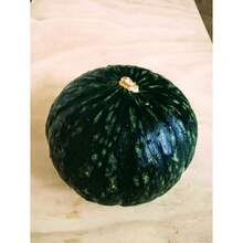 500 Pieces Pumpkin Seeds, Winter Pumpkin Hokkori Pumpkin, Japanese Pumpkin Seeds