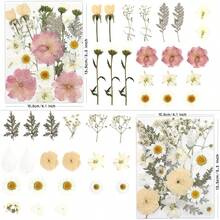 80 Pcs Dried Flowers Crafts, Real Natural Dried Pressed Flowers In Soft Yellow, White & Pink Tones Resin, Art, Jewelry, Candle & Soap Making – Tweezers Included - Đồng 100 xu lớn màu hồng và cam - Xem 12