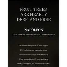 100ML Men's Napoleon Knight Perfume Pure Ocean Fragrance Fruit Wood Fragrance Covering Sweat Flavor Body Flavor - 1141 - View 10