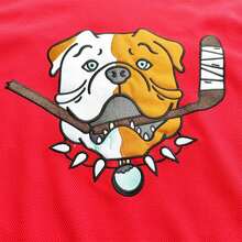 Kekambas Letterkenny Sudbury Blueberry Bulldogs Hockey Jerseys #69 Shores TV Series Red Embroidered Stitched Sportswear Casual Training Long Sleeved Pullover