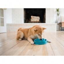 2 Pack Fun Feeder Slo Bowl Large Slow Feeder Dog Bowl 4 Cups Turquoise