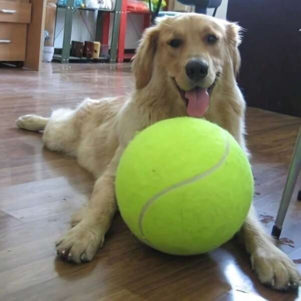 1pc Jumbo 9.5" Tennis Ball For Dogs - Durable Interactive Training Toy, Ideal For Large Breeds, No Batteries Needed - Perfect For Fetch & Play