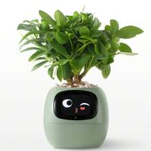 智能花盆，智能宠物花盆，AI 花盆，7 个智能传感器和 AI 芯片让植物生长变得轻松有趣，适合客厅，不含植物 - 智慧花盆 - 查看 5