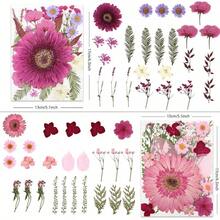 80 Pcs Dried Flowers Crafts, Real Natural Dried Pressed Flowers In Soft Yellow, White & Pink Tones Resin, Art, Jewelry, Candle & Soap Making – Tweezers Included - Đồng 100 xu lớn màu hồng và cam - Xem 11