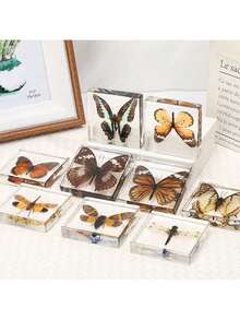 1pc Large Size (4.8cm/7.5cm) Transparent Spread Wings Butterfly, Spider, Butterfly, Giant Centipede Series Model. Insect Specimen, Permanent Preservation Animal Model Crafts, Real Nature Insect Butterfly Resin Specimen Bookend, Transparent Acrylic Square Plant And Animal Insect Model Decorative Craft (Crystal Crafts Are Fragile, Beware Of Bumps) - Multicolor - View 3