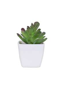 1/3 Stücke 3-5 Zoll (H) Mini Sukkulenten Topfpflanzen für Zuhause, Schlafzimmer, Wohnzimmer, Hochzeit, Geburtstag, Abschluss, Party und Tischdekoration