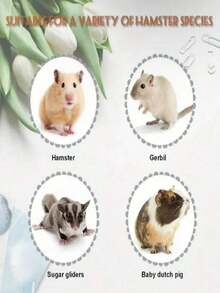 1pc Wooden Hamster Bridge Toy, Pet Supplies, Ornaments, Squirrel Toy, Assembly And DIY Process Enjoyment - Multicolor - View 8