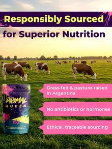 PRIMAL QUEEN Is Rich In Vitamins - Choline Copper, Zinc, Iron, Calcium, Carnitine, Creatine, Selenium, Magnesium - Balancing Hormones, Enhancing Energy, And Supporting The Skin And Nails - Khác - Xem 4