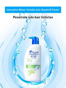 Head & Shoulders 洗髮精 5g*10入、200g、430g 及 750g 可選，去油順滑、長效控屑，適合所有髮質 - 怡神冰涼 - 查看 9
