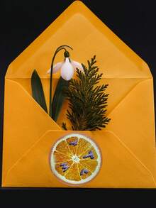 1-240张可定制标签 - 个性化贴纸，可定制任何设计，可用作感谢标签、封条，无需熨烫，装饰性强，色彩丰富，独一无二，适合男士、女士、家人、朋友、儿子、女儿、周年纪念日、生日、家居使用。多功能、装饰性强、可重复使用、精致、时尚、高品质、色彩丰富、现代、可定制、个性化、独一无二，适合男女、男友、包装标签。 - 彩色 - 查看 4