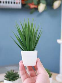 1/3 Stücke 3-5 Zoll (H) Mini Sukkulenten Topfpflanzen für Zuhause, Schlafzimmer, Wohnzimmer, Hochzeit, Geburtstag, Abschluss, Party und Tischdekoration